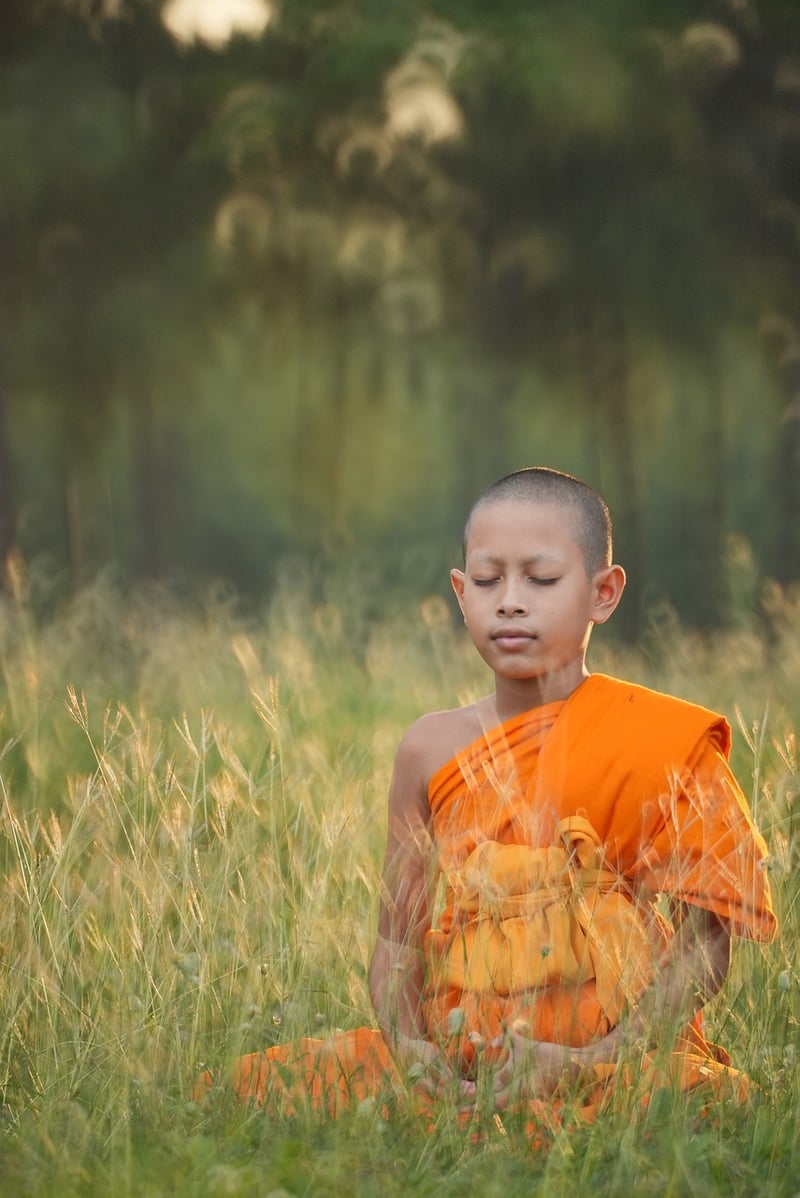 Guided Visualization